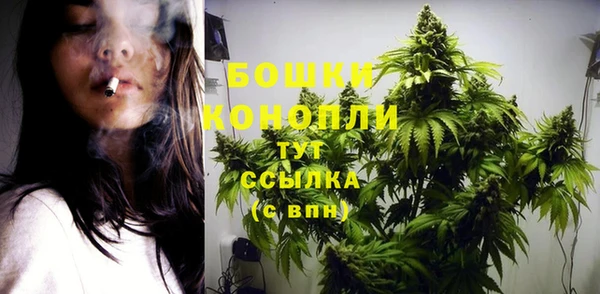 хмурый Арсеньев
