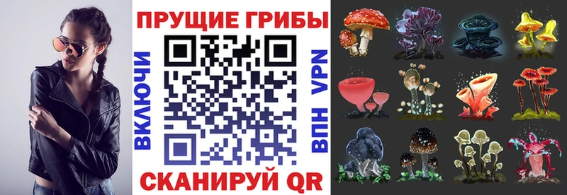 Псилоцибиновые грибы прущие грибы  Белый 